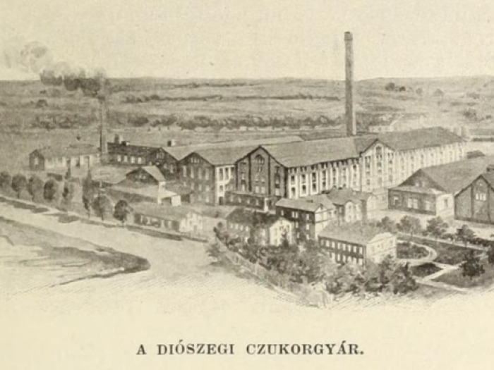 Diószeg 2